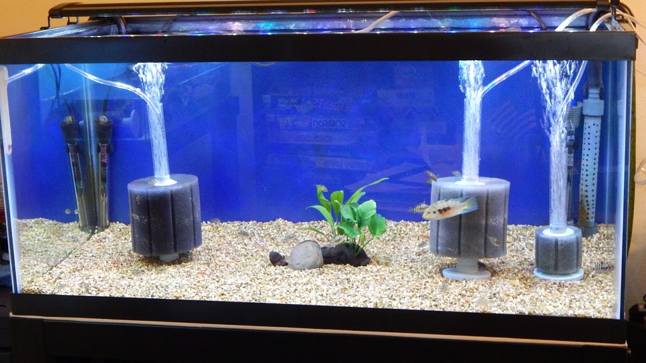 aquarium internal filter